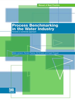 cover image of Private Sector Participation in Water Infrastructure